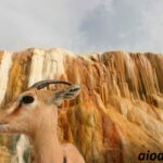 pasqua_2018_algeria_hammam_guelma_tour_da_cagliari_pacchetto_viaggio_soggiorno